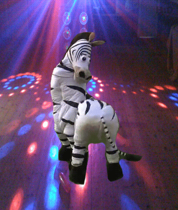 disco_dancing_zebra-1084.gif